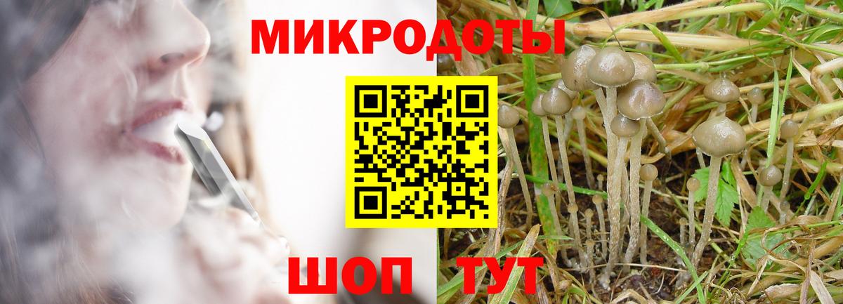 Абинск  Псилоцибиновые грибы Psilocybine cubensis  Вход с VPN 